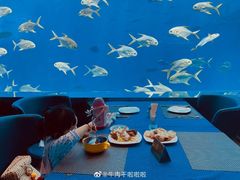 -瑞德姆美人鱼海底演艺主题餐厅(亚龙湾店)