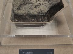 -亳州博物馆