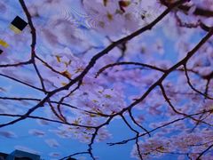 -南楚古都