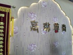 -归真美学颜究中心