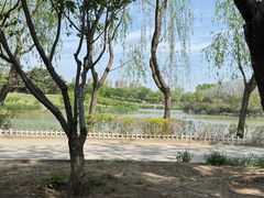 -塘沽森林公园
