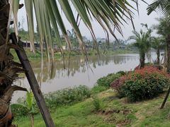 -枫香湖儿童公园