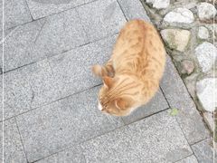 -贮水山儿童公园