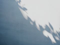 -Ocean's Table 欧舍