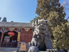-香山公园