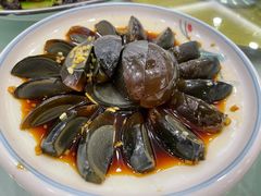 -陶然饺子城(奥体中路店)