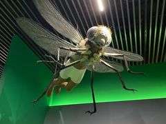 -杭州工艺美术博物馆