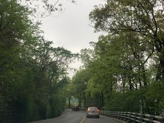 -南山植物园
