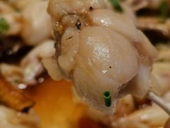 -花城苑广府菜(侨鑫店)