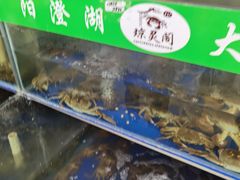 -阳澄湖大闸蟹·琼灵阁牌品牌连锁(吴中总店)