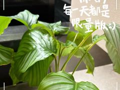 -宫七SPA·高端Massage(浦东大道店)