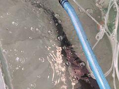 -红井路游艺炖锅·音乐餐吧(十渡店)