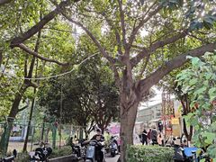 -广东金融学院(校本部)