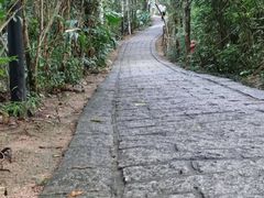 -水濂山森林公园