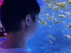-海合安成都极地海洋公园