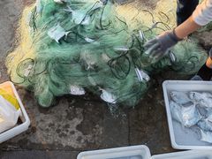 -青岛第三海水浴场