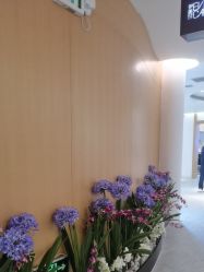-天津伊美尔医疗整形美容专科医院