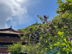 -天津盘山风景名胜区