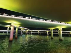 -演武大桥观景平台