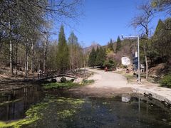 -白水寺森林公园