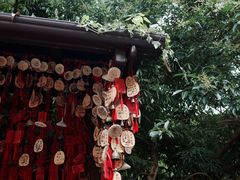 -黔灵山公园