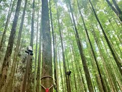 -山王坪喀斯特国家生态公园