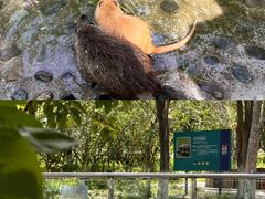 -水上乐园·欢乐世界