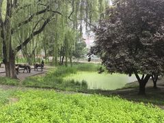 -元大都城垣遗址公园