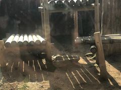 -杭州野生动物世界