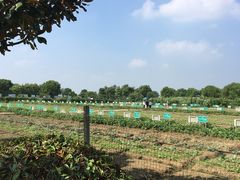 农场-上膳源有机农场