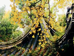 景点-无锡惠山寺