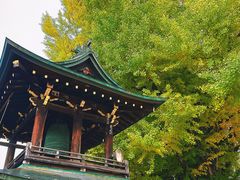 -医王山·飞騨国分寺