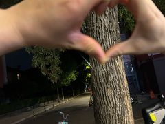 -管氏翅吧(甘家口店)