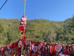 -西双版纳原始森林公园