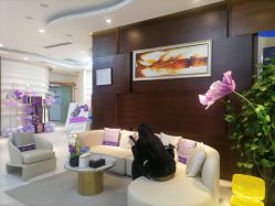 -洁铭新加坡医美