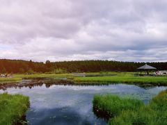 -塞罕坝国家级自然保护区