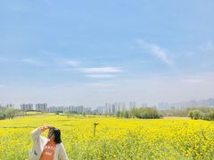 -西海岸生态观光园