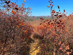 -北京西山国家森林公园