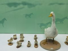 -国家自然博物馆