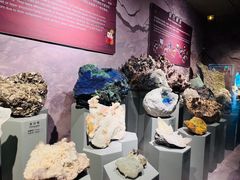 -正佳自然科学博物馆