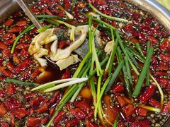 -乡土特色.冷锅鱼.牦牛肉汤锅