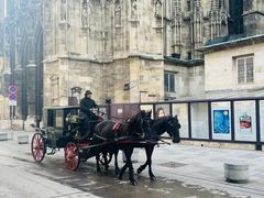 -斯蒂芬主教座堂(Stephansdom)