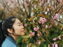 -湖南嵩云山国家森林公园