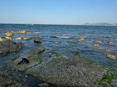 -养马岛旅游度假区