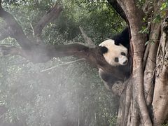 -广州长隆野生动物世界