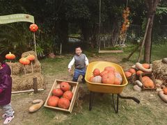 -HERRE·FARM 赫尔露营农场·团建聚会包场