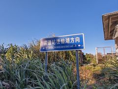 -梧桐山风景名胜区