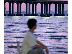 -宝安西湾红树林湿地公园