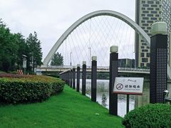 -陈家山荷花公园