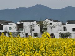 -东梓关景区村庄